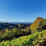 Le Rose Di Mapi Mango