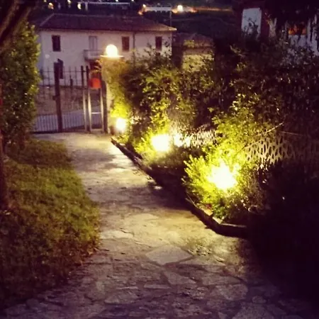 Le Rose Di Mapi Mango