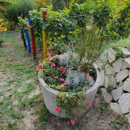 Ferienhaus Le Rose Di Mapi
