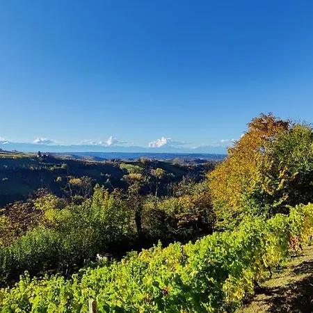 Le Rose Di Mapi Mango