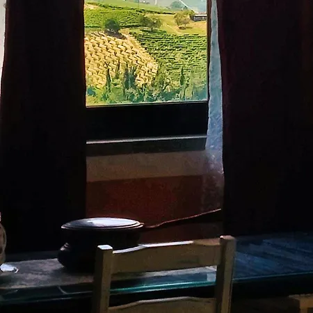 Le Rose Di Mapi * Mango