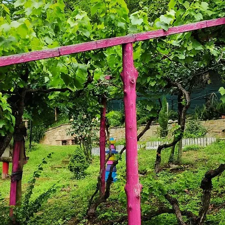 Ferienhaus Le Rose Di Mapi *