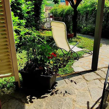 Le Rose Di Mapi * Mango