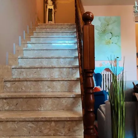 Le Rose Di Mapi Mango