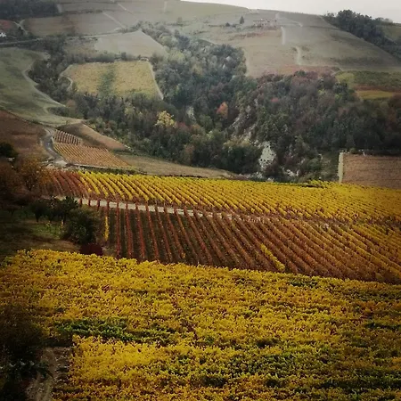 Ferienhaus Le Rose Di Mapi Mango