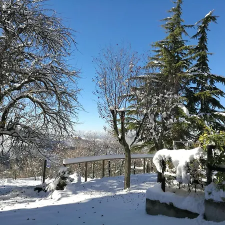 Le Rose Di Mapi * Mango