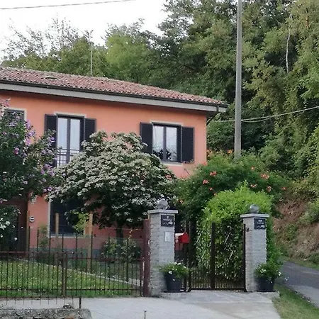 Le Rose Di Mapi * Mango