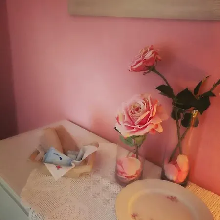 Le Rose Di Mapi Mango