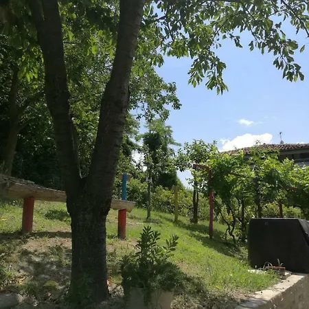 Le Rose Di Mapi
