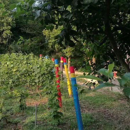 Le Rose Di Mapi Ferienhaus *